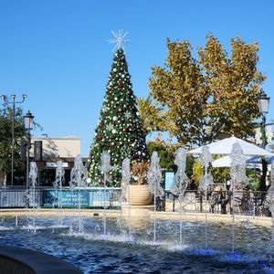 Meet your Posher, Sinae